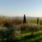 Villa Degli Ulivi
