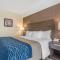 Comfort Inn - Lévis