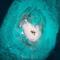 Bon Abri Maldives - Manadhoo