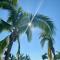 Harbor 171 with Amazing View of the Ocean, Beach and Pool - بويرتو فايارتا