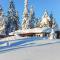 Three-Bedroom Holiday Home In Sjusjoen