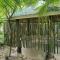 La Vida Hostel Samal Island