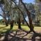 Painters Island Holiday Park