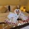 New Starlight Hotel Lovina