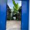 Quintal do Maio