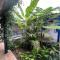 Quintal do Maio