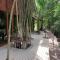 Teak@Teak - Ban Cha-om