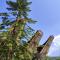 NUANSA HOMESTAY Authentic&Hospitality