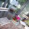 Pound Orchard Bed and Breakfast