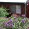 Bluebell Cottage