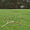 Stunning Home In Stege With Wifi - Stege