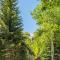 Cottonwoods 1-D