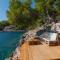 Holiday Home Gdinj With Sea View I