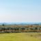 Awesome Home In Vodnjan