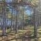 Apartman Twins View Zlatibor - Zlatibor