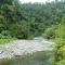 Junia Guesthouse Bukit Lawang - Bukit Lawang