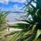 'Noni's House' Coastal Opononi Hokianga - Opononi