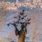 LE DIMORE ARCANGELO Giuseppe