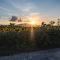 Amazing Apartment In Ficulle With Wifi - Ficulle