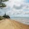 Stunning beachfront bach!