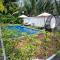Coconut Paradise Bungalow Kampot - Kampot