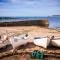 Little Petra, Cottage With Garden, Superb SeaViews in Amazing Location
