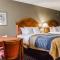 Comfort Inn Sun City Center - Ruskin - Tampa South