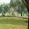 Nice Home In Fazana With Wifi