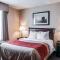 Comfort Inn - Mississauga