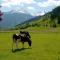 ZITTRAUERHOF - Urlaub am Bauernhof Gastein