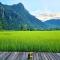 Vangvieng Angsavanh Resort - 万荣