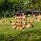 Kruger Park Lodge Unit 550 With Private Pool - Hazyview