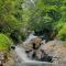 Wetlands Wayanad Pool Resort with Natural Waterfalls
