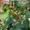 YEJOS Jungle Lodge