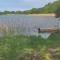 Gorgeous Home In Flen With Sauna Gorgeous Home In Flen With Sauna