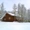 Charming Cabin Ski-In Access and Pet Friendly