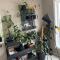 Spacious house near city centre - WSC 2025!