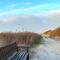 Boddenluemmel in der Seefahrtschule