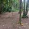Camping Monte Hermom
