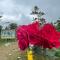 Montavilla Eden Homestay Sittong