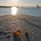 MeerZeit an der Seebrücke Zingst