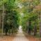 Villa Rose close to Vienna & Airport