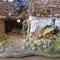 Bankhouse B&B