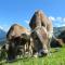 Prestigious Chalet with Pool & Hot tub, Mountain Views for 19 Guests - Vars