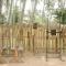 Mad Monkey Hostel Nacpan Beach