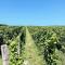 Gîte familial dans le vignoble champenois - Cuchery