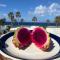 Sunset Deluxe Villa and Studios