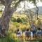 Ekuthuleni Lodge - Welgevonden Vadrezervátum