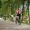 ArdenParks Petite Suisse