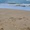 Premium Apartment 8 pers with a rooftop swimming pool and sea views - 3 min Playa de Cura - Torrevieja